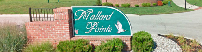 Mallard_pointe